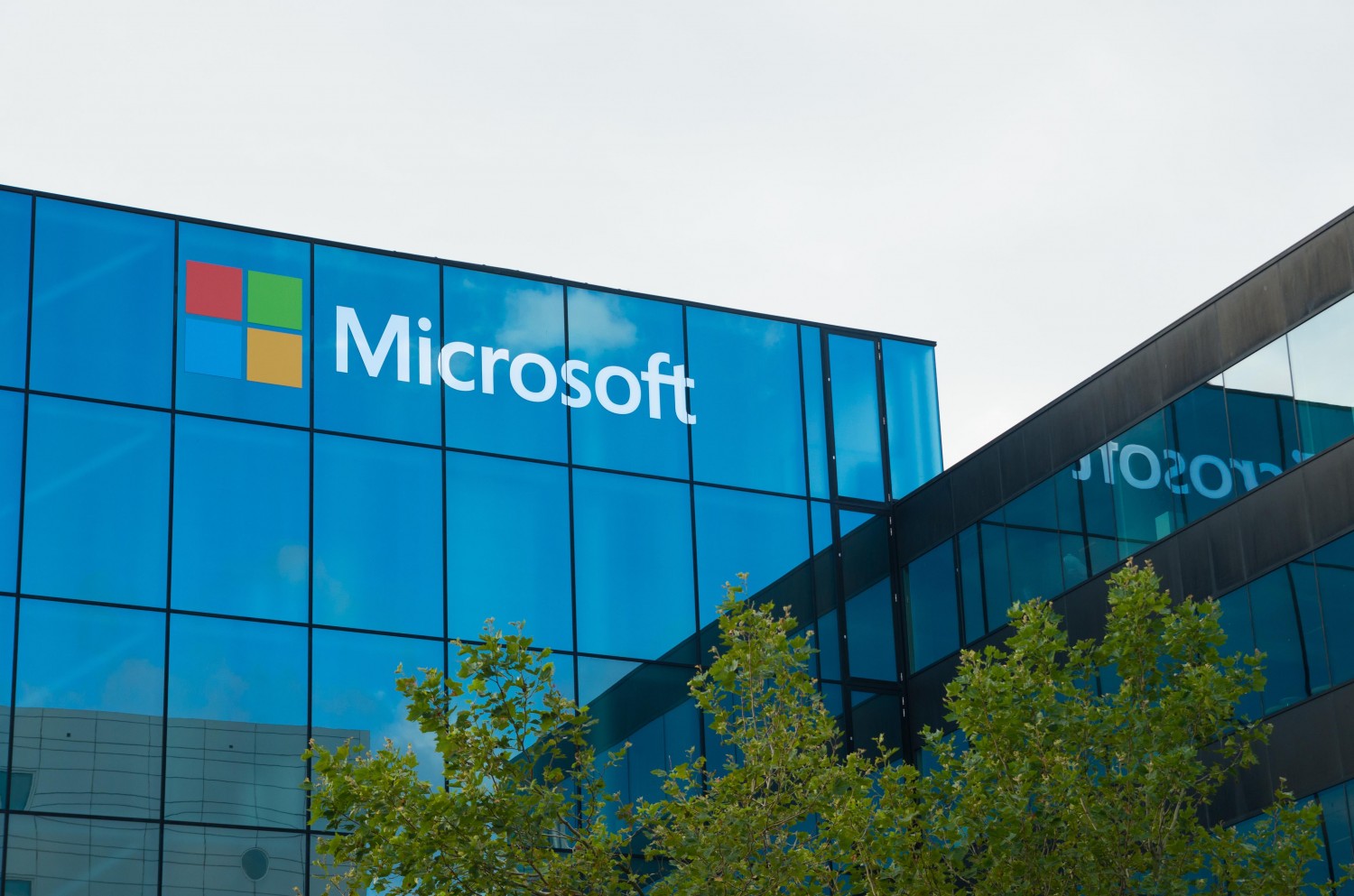 Microsoft (Photo Credit: cfamedia.ng)