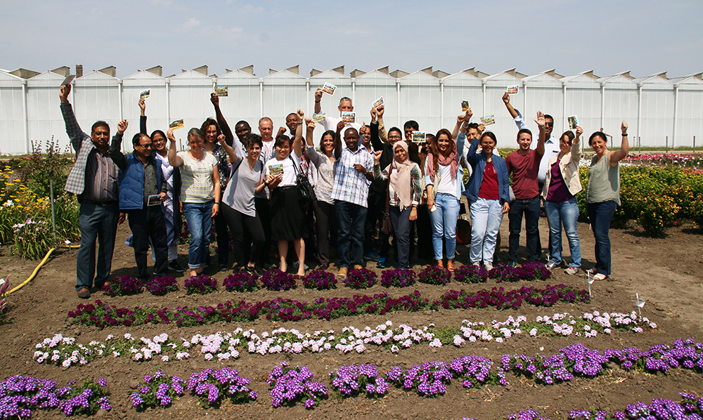 Nuffic Scholarships (Photo Credit: Afribary)