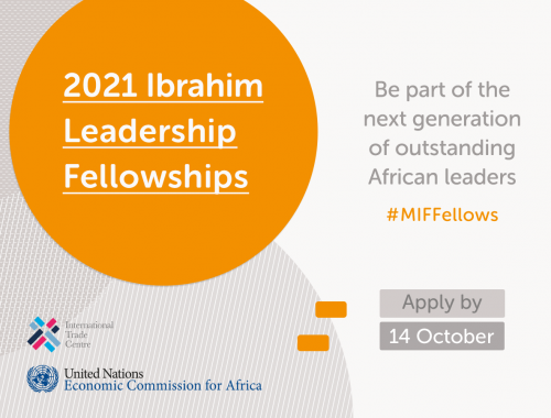 2021 Mo Ibrahim Foundation Leadership Fellowships