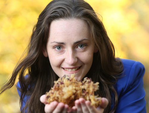 The Government of Ireland Postgraduate Scholarship
