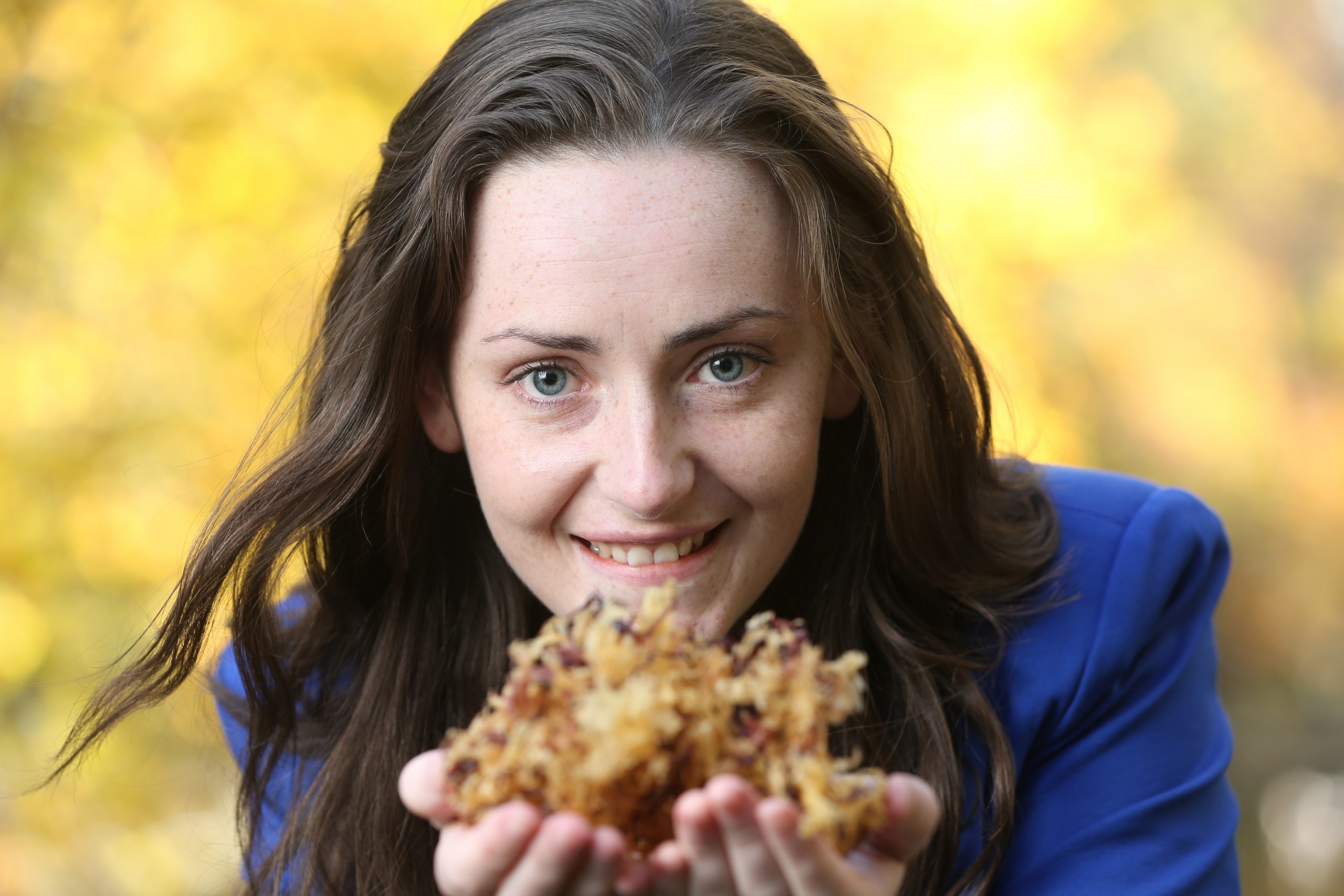 The Government of Ireland Postgraduate Scholarship