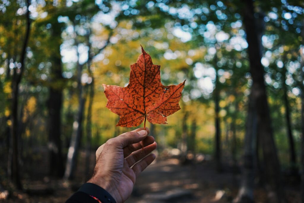 Canada visa leave Nigeria (FSTP) BBPA