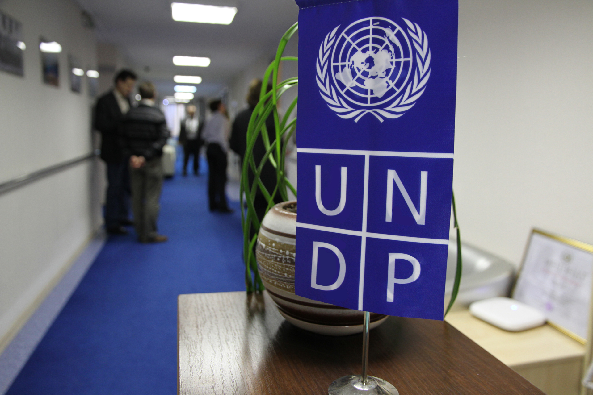 UNDP Graduate Programme