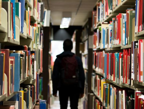 The Eric Bleumink Fund Scholarships