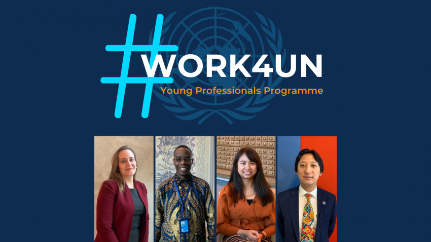 UN Young Professionals Programme (YPP) [PHOTO CREDIT: careers.un.org]