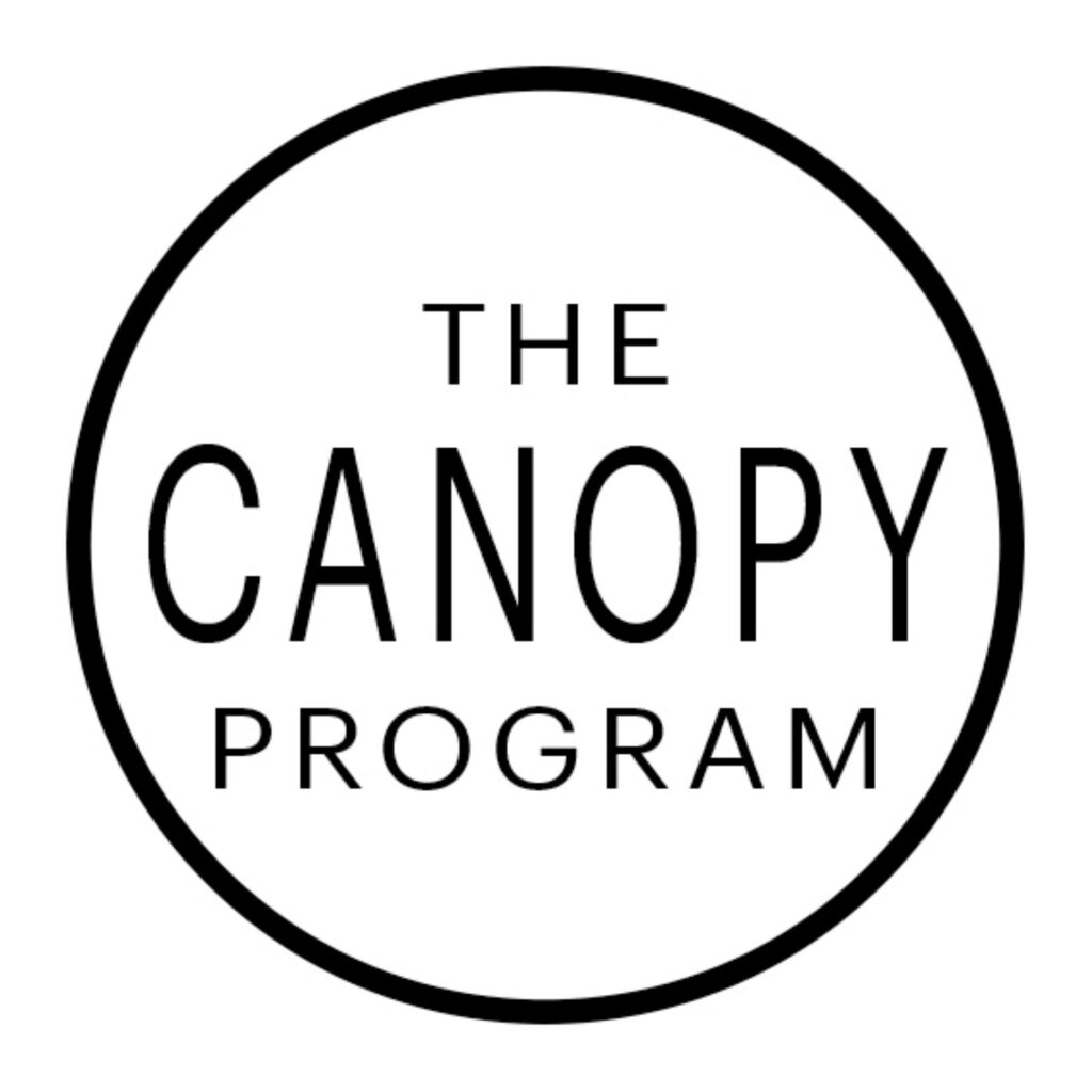 The Canopy Program at the New York Foundation for the Arts