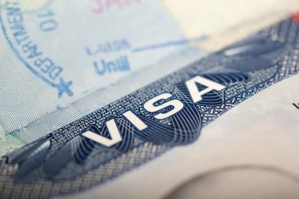 US limits Nigerians to single-entry visas with 3-month validity
