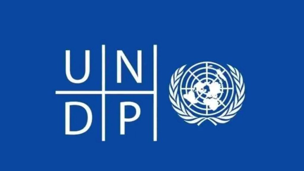 UNDP Digital Transformation Internship