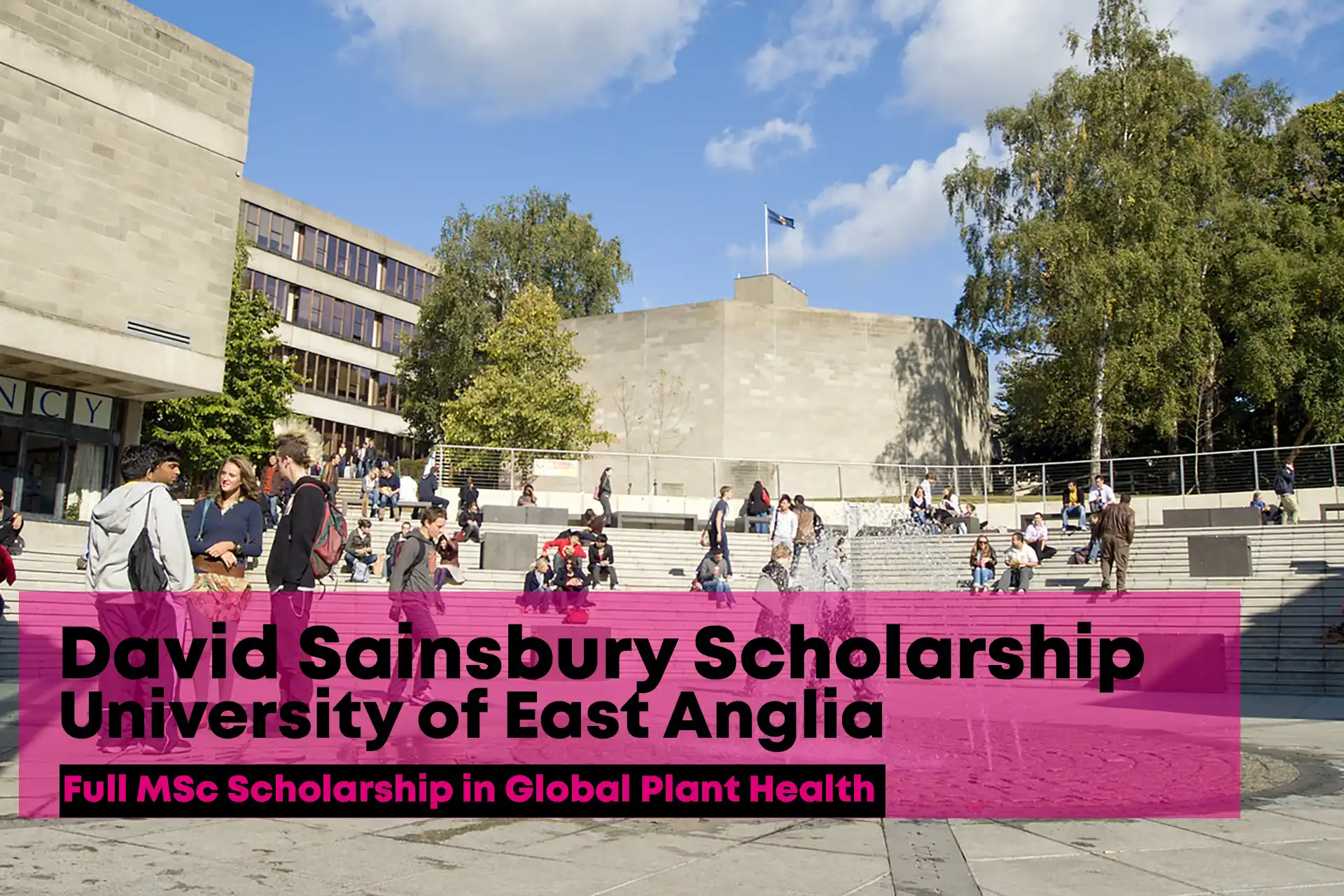 2026 David Sainsbury Scholarship at the University of East Anglia